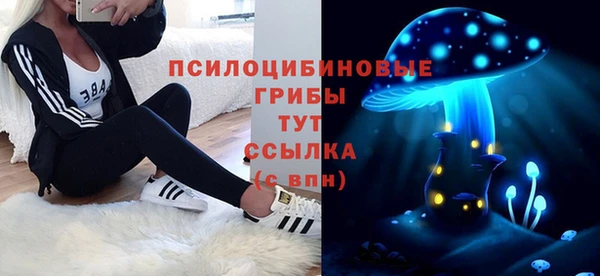 бошки Каменка