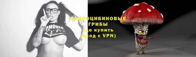 бошки Каменка