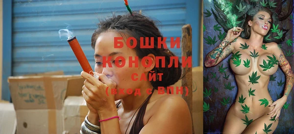 бошки Каменка