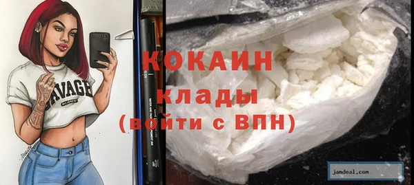 бошки Каменка