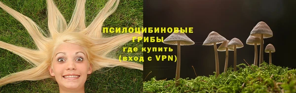 бошки Каменка