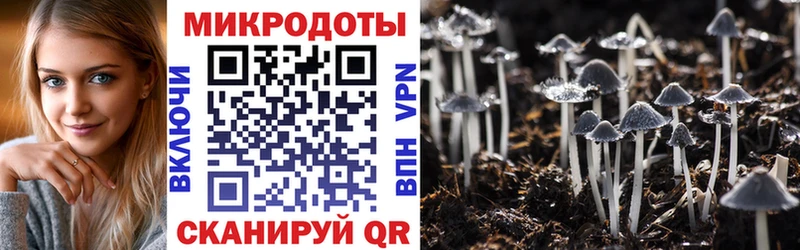 Купить закладки  Медногорск  Псилоцибиновые грибы GOLDEN TEACHER 